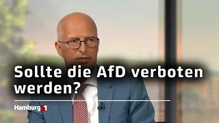 Sollte die AfD verboten werden?