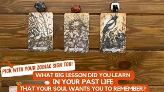 What BIG LESSON did you learn in your past life that your soul wants you to remember?