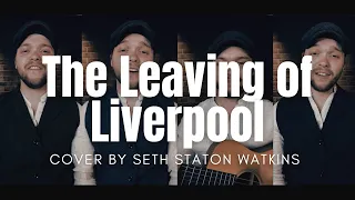 The Leaving of Liverpool (Cover) by Seth Staton Watkins