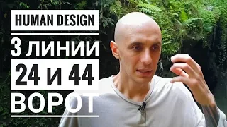 Дизайн Человека 24 и 44 ворота. 3 линии Даниил Трофимов. Human Design