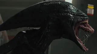 Alien (Xenomorph)- All Powers from the films