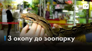 🐍Друге життя: у Дніпрі рятують удава з передової