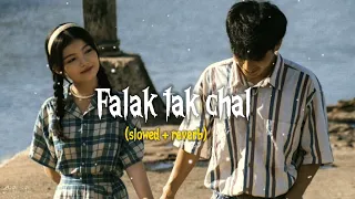 Falak tak chal ❤️lofi song/love mashup/romantic song /mind fresh cong