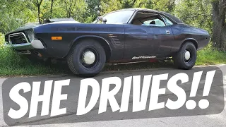 Ratty Challenger First Drive! Big Lopey Cam - CHOP CHOP