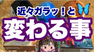 近々ガラッと変わる事🦋活かすべき能力、展開🦋リアルリーディング🦋