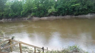Leaf River, near Beaumont MS April 2017