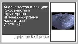 Анализ тестов к лекциям Эхосемиотика структурных изменений органов малого таза Часть 2