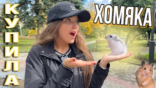 Купила хомяка🐹💕реакция собак🫣обустраиваю клетку🏠