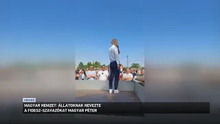 Állatoknak nevezte a Fidesz szavazókat Magyar Péter