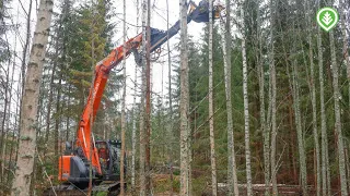 Energiapuun kysyntä kasvaa – rästikohde kuntoon kaivinkoneella ja energiapuukouralla | Metsälehti