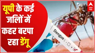 Purvanchal Top News : Varanasi में लगातार बढ़ रही Dengue के मरीजों की संख्या | Hindi News