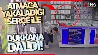 Atmacanın Telefon Mağazasına Uçarak Girdiği Anlar Kamerada