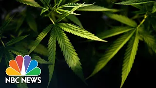 Virginia Becomes First Southern State To Legalize Marijuana | NBC News NOW