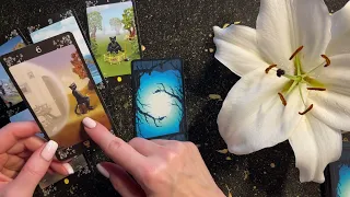 ОВЕН ♈️ ВОЛШЕБНОЕ НОВОЛУНИЕ 🦋 16-22 января 2023 ⭐️AIDA LEMAR 🌞Tarot Aries