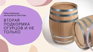 542. Вторая подкормка для  огурцов и не только...ДАЧНЫЙ КОКТЕЙЛЬ ...