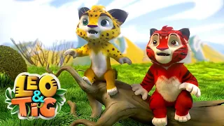 Leo and Tig Take You on a Wild Adventure! 🐯🦁 A new collection of cartoons for children