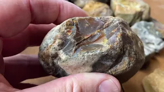 Jasper, Petrified Wood and Opal - What did I Find?!