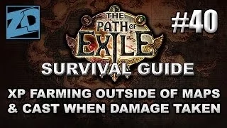 The Path of Exile Survival Guide #40: Where to Level Outside of Maps & CwDT Setups