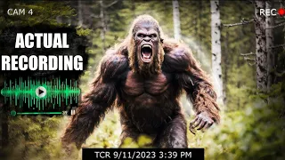 AGGRESSIVE SASQUATCH SCREAMS CAUGHT ON CAMERA | Hear For Yourself...#bigfoot 2024