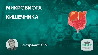 Дисбактериоз кишечника у пациента с фиброзом печени