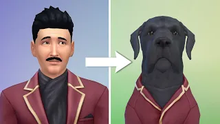 creating the goth family as pets in the sims lol
