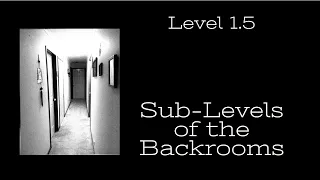 Backrooms Level 1.5 "Inverted" | Sub-Layers