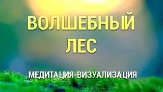 Медитация для Сна 😴 Визуализация Волшебный Лес 🌳 Осознанный Сон 🎵 Медитация с Музыкой