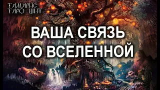 ВАША СВЯЗЬ СО ВСЕЛЕННОЙ🔥💯 ГАДАНИЕ РАСКЛАД ТАРО