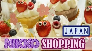 Japan Vlog: Shopping in JAPAN |  Exploring Nikko - Tochigi | KimDao in JAPAN