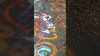 Graffiti highway in centralia