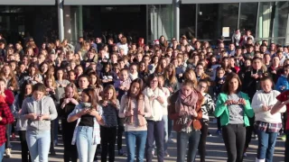 2nd Flashmob : Nos mains Décembre 2016