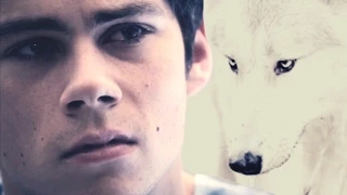 Stiles Stilinski | Unsteady