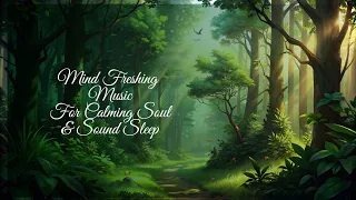 4K! Music for Stress Relief, Deep Sleep, Meditation & Study | Calming Bird Sounds 🎶🌿