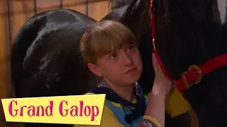 Grand Galop - Épisodes 19 à 20 | Compilation | Grand Galop Saison 1