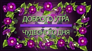 💗💛Доброго утра💗💛Чудесного дня💗💛