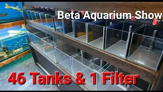 Unbelievable Underwater Haven for Beta & Shrimp: What's Inside? #aquarium #fishtank #beta #filter