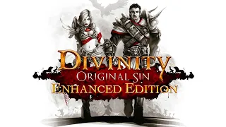 Divinity: Original Sin. Одиннадцатая часть. Новая локация.