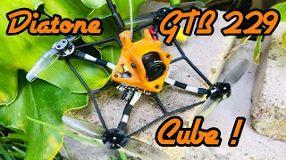 Diatone GTB229 💯| Custom Build 🛠 Review & Flight !