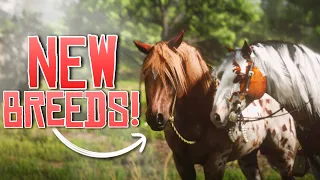 NEW HORSE BREEDS & COATS ON RDR ✨ The Rift Trails RedM