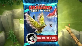 RIDERS OF BERK PACK - Dragons: Rise of Berk