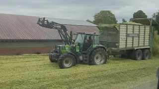 #35 Farmvlog/ Maisfieber/ Deutz Agrostar 6.11 vorm Häckslwagen