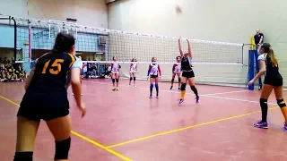 Pallavolo U13 femminile - Easyvolley  vs  Virtus Binasco