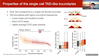 Multiscale and integrative single-cell Hi-C analysis