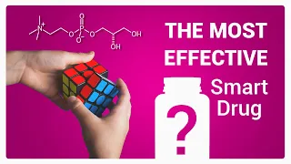 Alpha GPC—The Most Effective #Nootropic—The CEOs Smart Drug