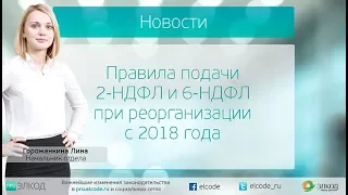 Правила подачи 2-НДФЛ и 6-НДФЛ при реорганизации с 2018 года