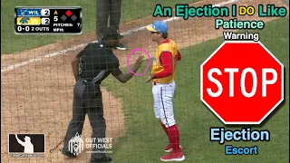 An Ejection I DO Like - Umpire Discussion with Coach After Controversial Call in High-A Jersey Shore