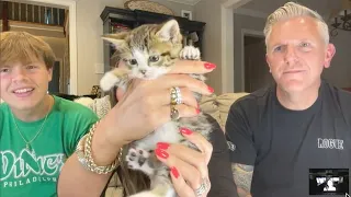 Family Saves Adorable Kitten Stuck Inside Pipe