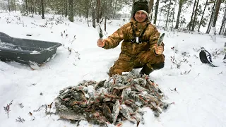 НАРВАЛИСЬ НА ГОРБАЧЕЙ! / ЧЕРНЫЕ ЩУКИ ОЗЕР! / Живем на болоте / 3 Дня в тайге / Часть 2