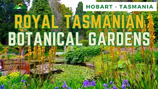 Tasmania Day 13🌷Royal Tasmanian Botanical Gardens 🌱 Hobart