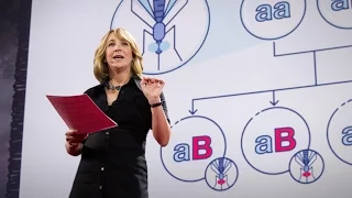 Gene editing can now change an entire species -- forever | Jennifer Kahn